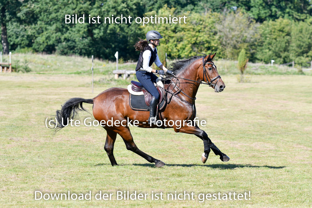 Bad Segeberg Landesturnier 2023 | Enna Joiswig - Bombastic Boy