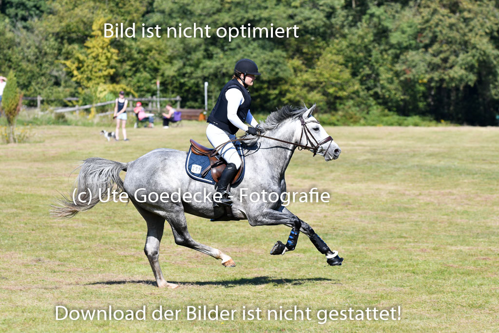 Bad Segeberg   Landesturnier 2023 | Fenja Fuhlendorf - Kasita_3 