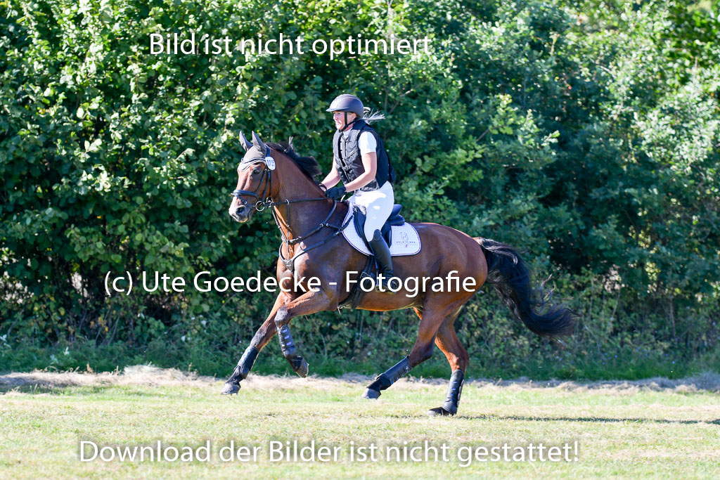 Bad Segeberg   Landesturnier 2023 | Gesa Karstens - Check xyour Cash 
