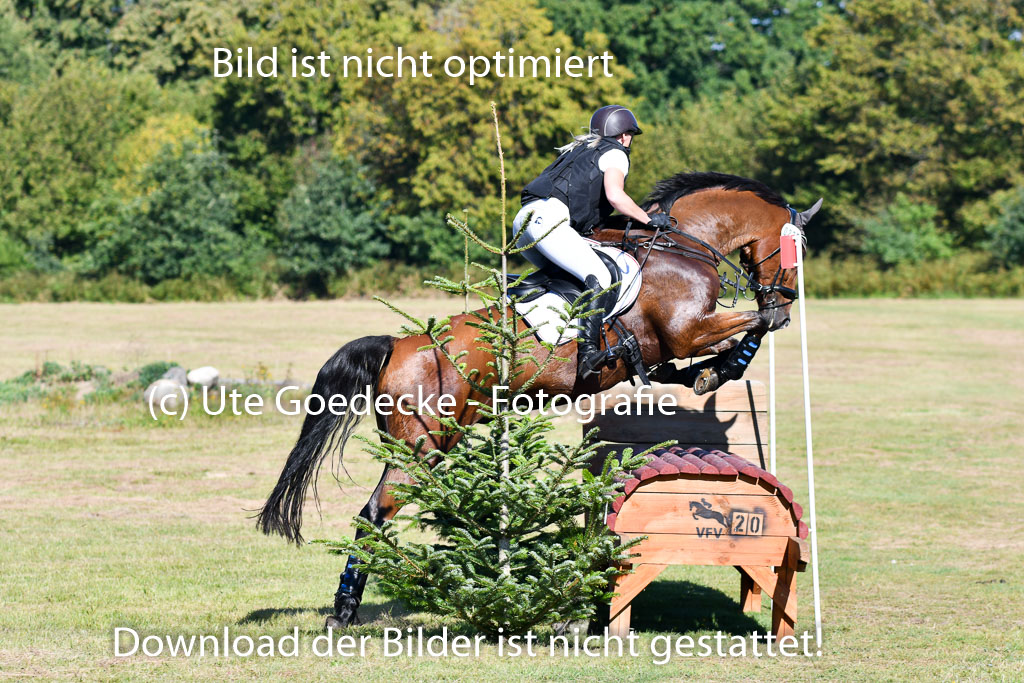 Bad Segeberg   Landesturnier 2023 | Gesa Karstens - Check xyour Cash_3 