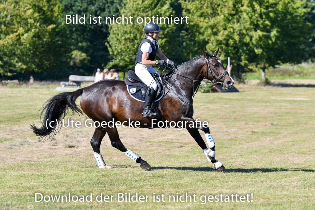 Bad Segeberg Landesturnier 2023 | Hilke Schattner - Arica 12_1