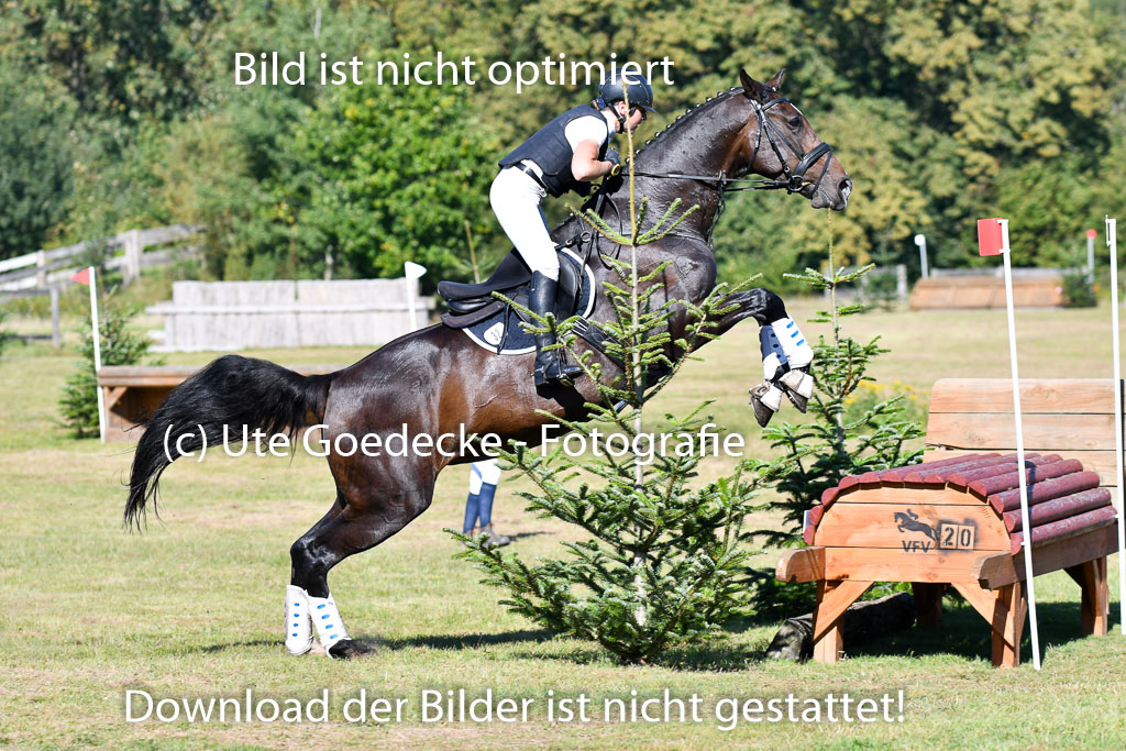 Bad Segeberg   Landesturnier 2023 | Hilke Schattner - Arica 12_2 