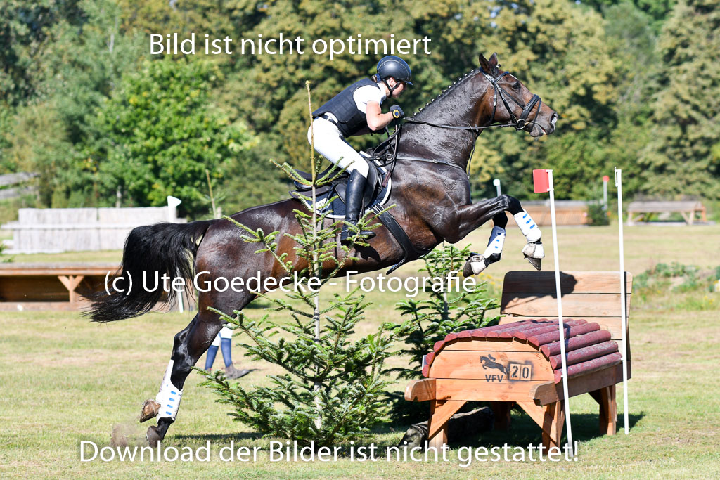 Bad Segeberg   Landesturnier 2023 | Hilke Schattner - Arica 12_3 