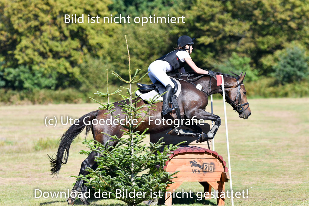 Bad Segeberg   Landesturnier 2023 | Iris Dibbern Schmidt - Izzy PS_2 