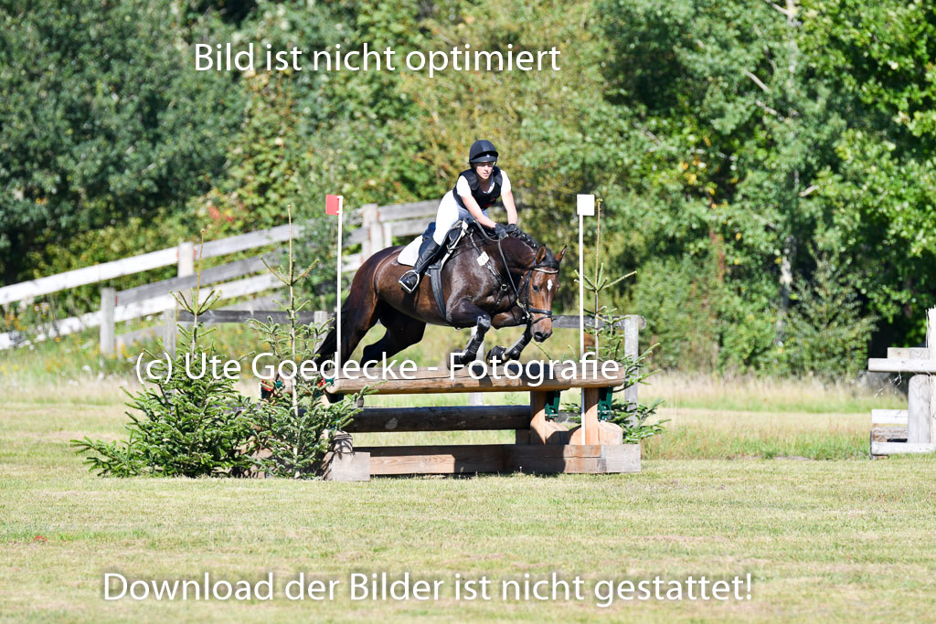 Bad Segeberg   Landesturnier 2023 | Iris Dibbern Schmidt - Izzy PS_3 
