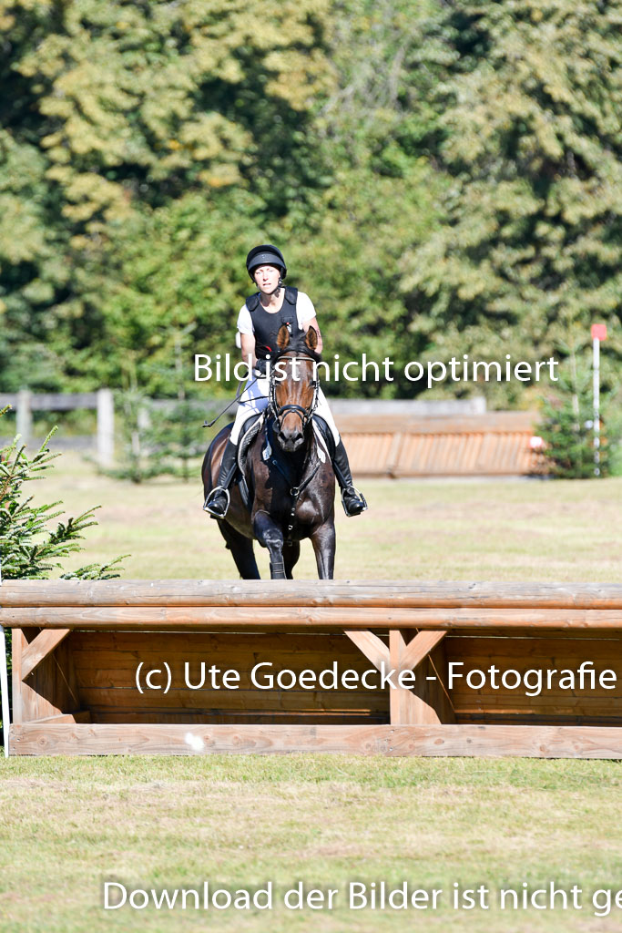 Bad Segeberg   Landesturnier 2023 | Iris Dibbern Schmidt - Izzy PS_4 