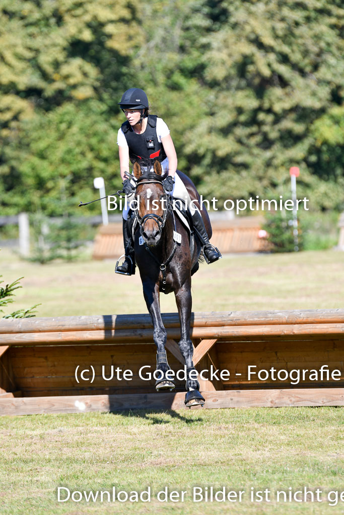 Bad Segeberg   Landesturnier 2023 | Iris Dibbern Schmidt - Izzy PS_6 