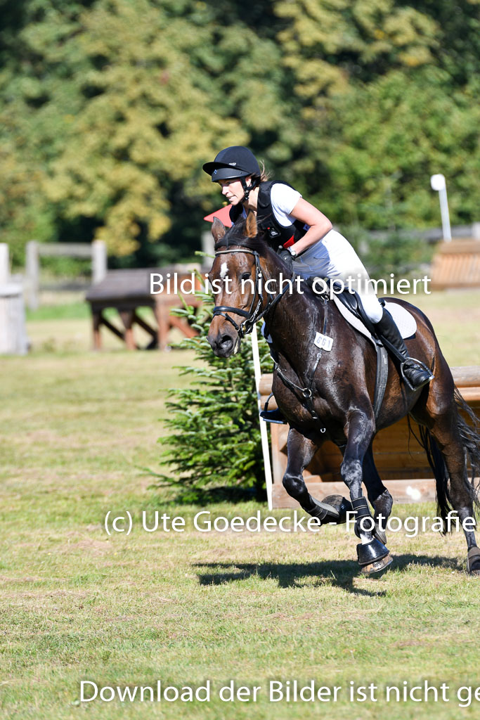 Bad Segeberg   Landesturnier 2023 | Iris Dibbern Schmidt - Izzy PS_7 