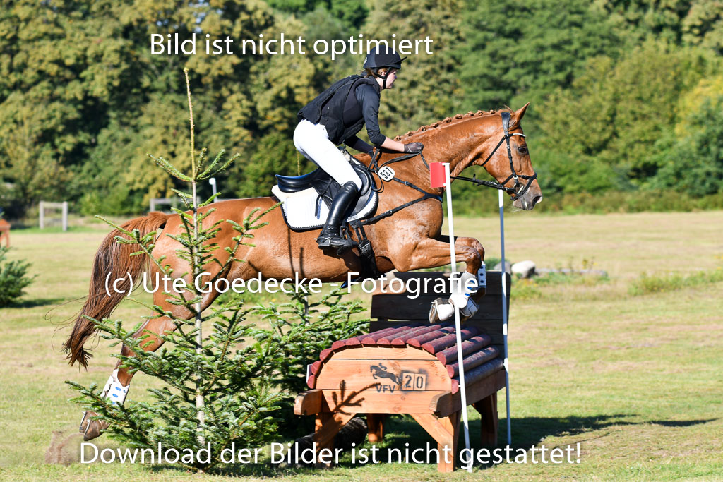 Bad Segeberg   Landesturnier 2023 | Jacqueline Voigt - Florali _02 