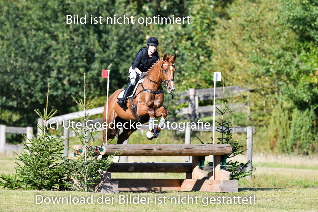 Bad Segeberg   Landesturnier 2023 | Jacqueline Voigt - Florali _03 