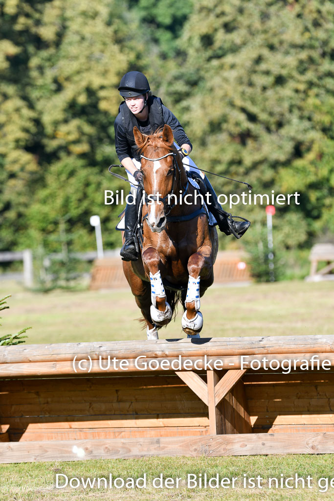 Bad Segeberg   Landesturnier 2023 | Jacqueline Voigt - Florali _04 