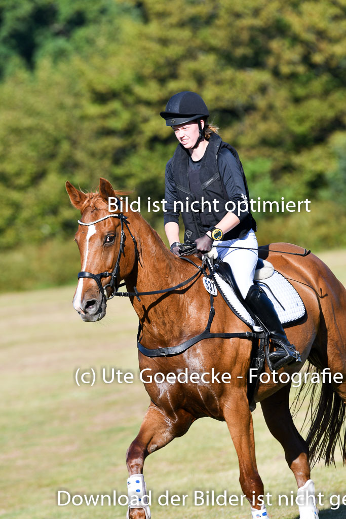 Bad Segeberg   Landesturnier 2023 | Jacqueline Voigt - Florali _08 