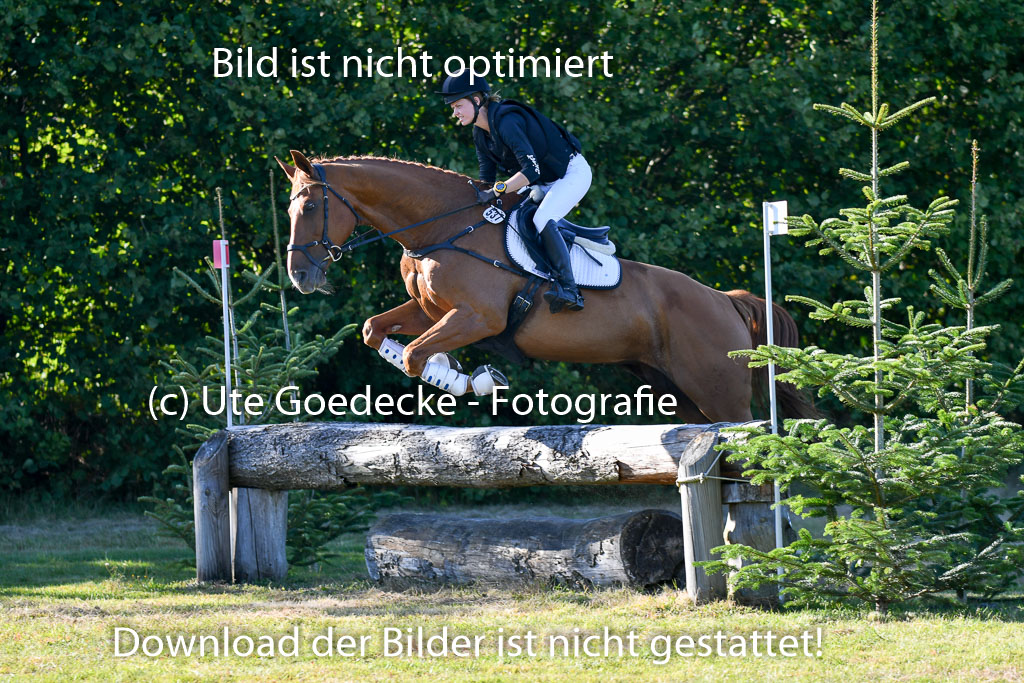 Bad Segeberg   Landesturnier 2023 | Jacqueline Voigt - Florali 