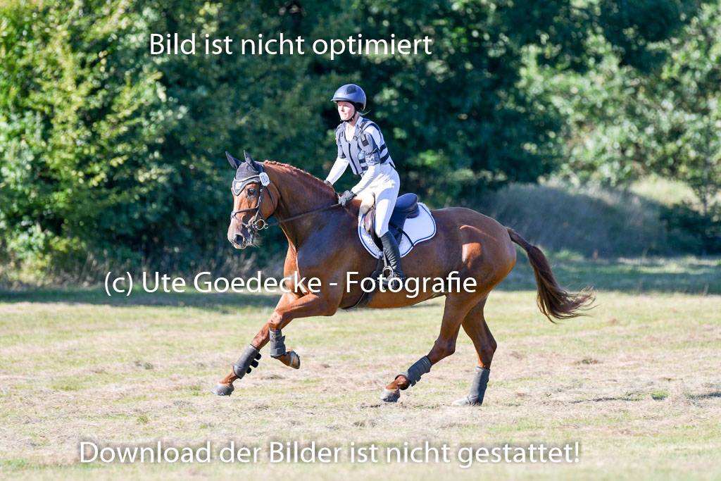 Bad Segeberg   Landesturnier 2023 | Johanna Hengelhaupt - Nanunana 