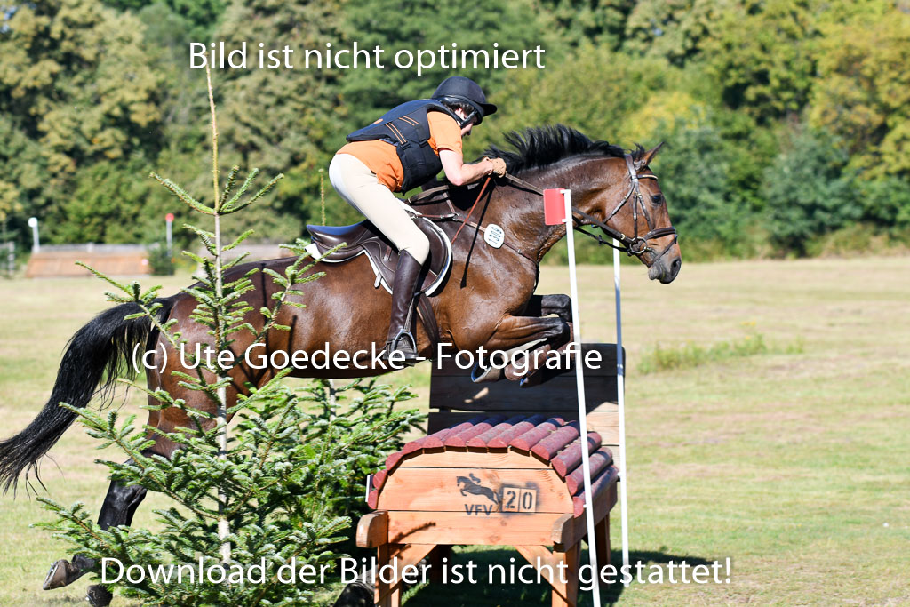 Bad Segeberg Landesturnier 2023 | Yvonne van Tienhoven - Escada 297_02