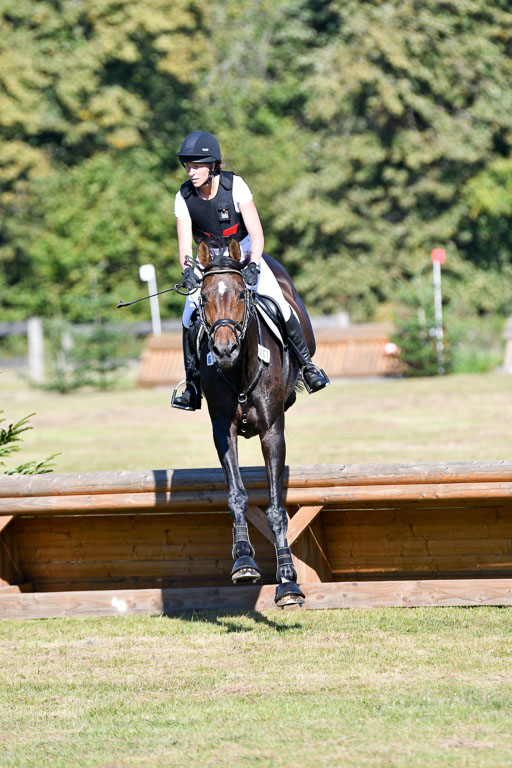 Bad Segeberg   Landesturnier 2023 | Iris Dibbern Schmidt - Izzy PS_6 
