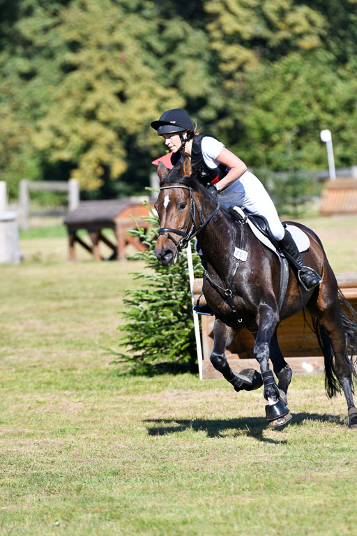 Bad Segeberg   Landesturnier 2023 | Iris Dibbern Schmidt - Izzy PS_7 