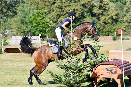 Bad Segeberg   Landesturnier 2023 | Kathrin Bielfeldt Wittke - Ambertino_02 