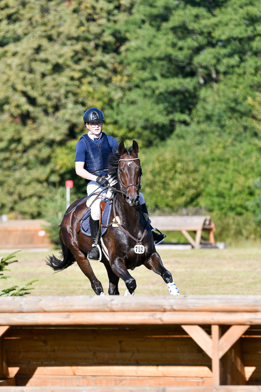 Bad Segeberg   Landesturnier 2023 | Mick Salzmann - Little Louis_07 