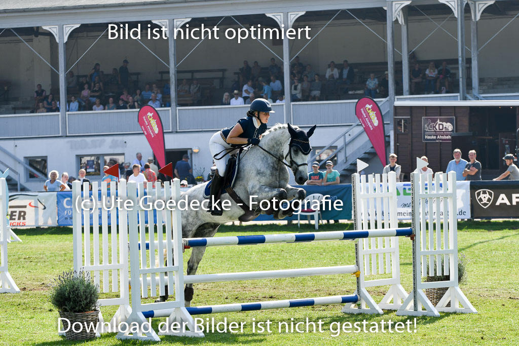 Bad Segeberg Landesturnier 2023 | Goppelt, Carolin - Springfever _3