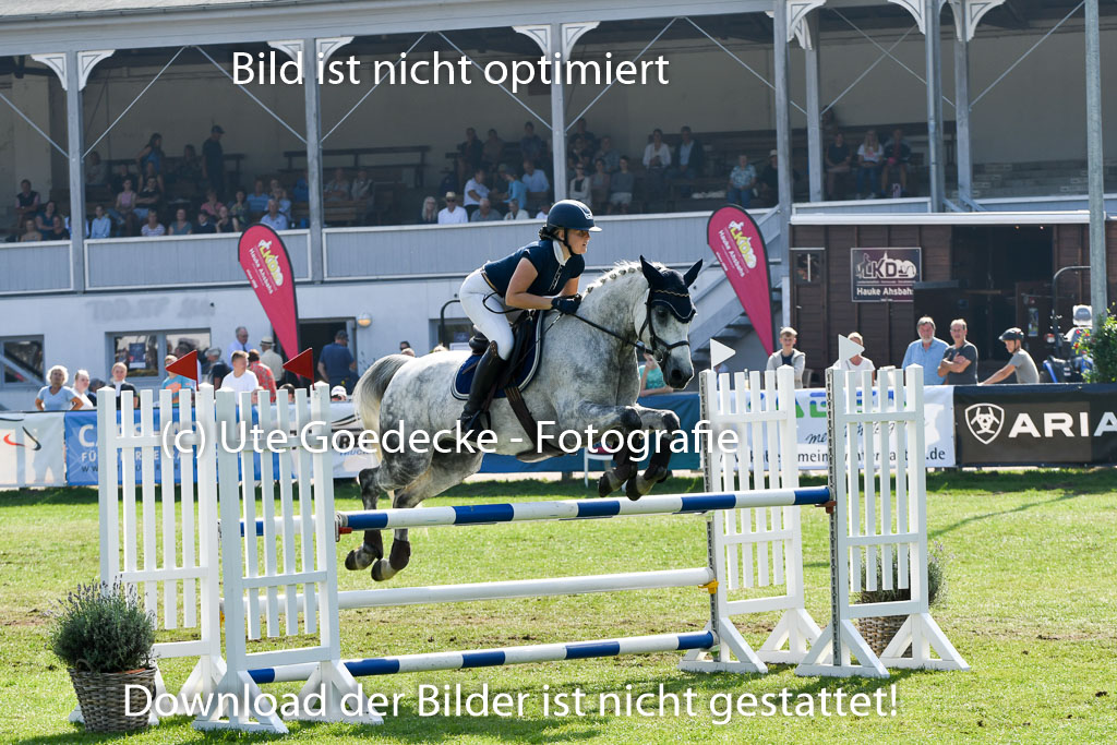 Bad Segeberg Landesturnier 2023 | Goppelt, Carolin - Springfever _4