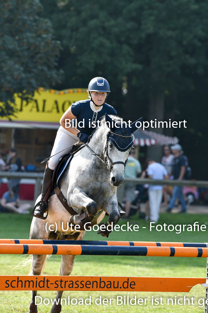 Bad Segeberg Landesturnier 2023 | Goppelt, Carolin - Springfever _5