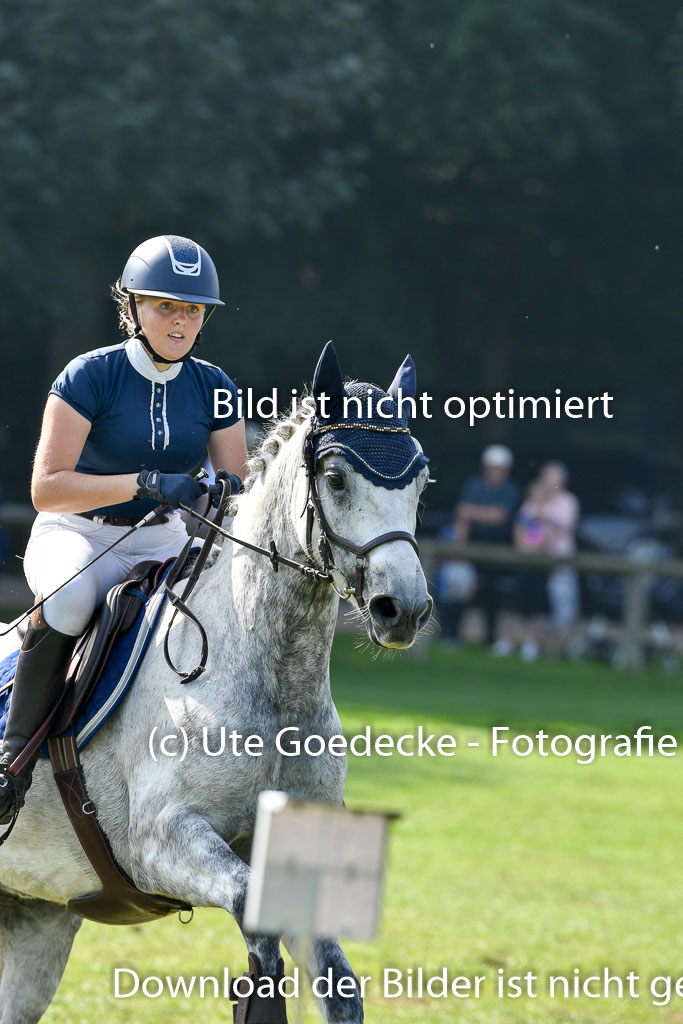 Bad Segeberg Landesturnier 2023 | Goppelt, Carolin - Springfever _7