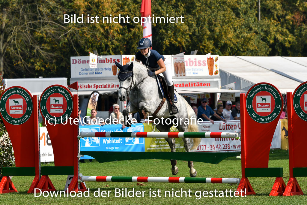 Bad Segeberg Landesturnier 2023 | Goppelt, Carolin - Springfever