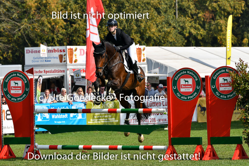 Bad Segeberg Landesturnier 2023 | Karpowitz, Lilli - Dream Boy