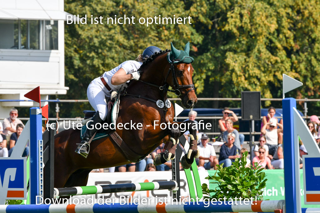 Bad Segeberg Landesturnier 2023 | Meynerts, Lena - Con Capri_3