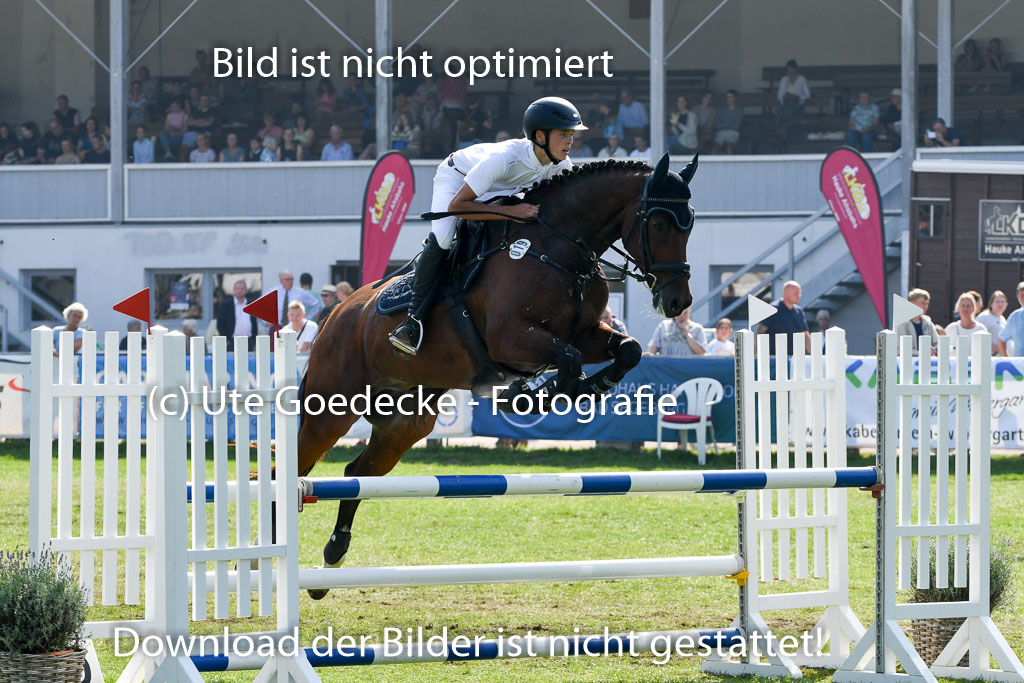 Bad Segeberg  Landesturnier 2023 | Mohr, Till - Amalfi_2 