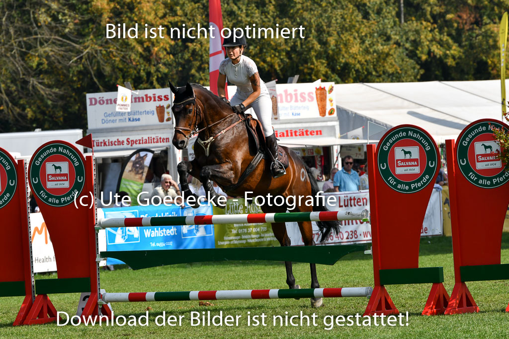 Bad Segeberg Landesturnier 2023 | Wilke, Lena - Readys Charming