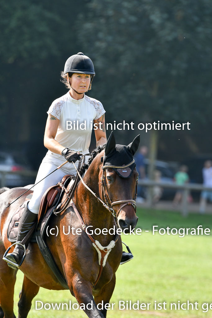 Bad Segeberg  Landesturnier 2023 | Wilke, Lena - Readys Charming_6 