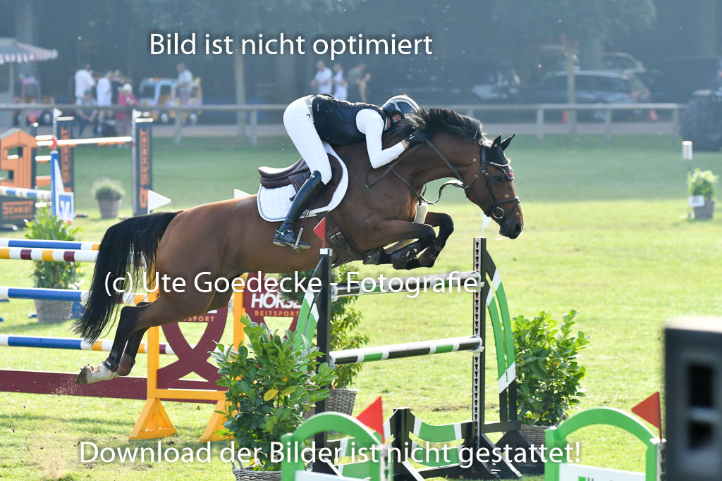 Landesturnier Bad Segeberg  2023 | Boer, Paula de - My Miss Marpel_02 