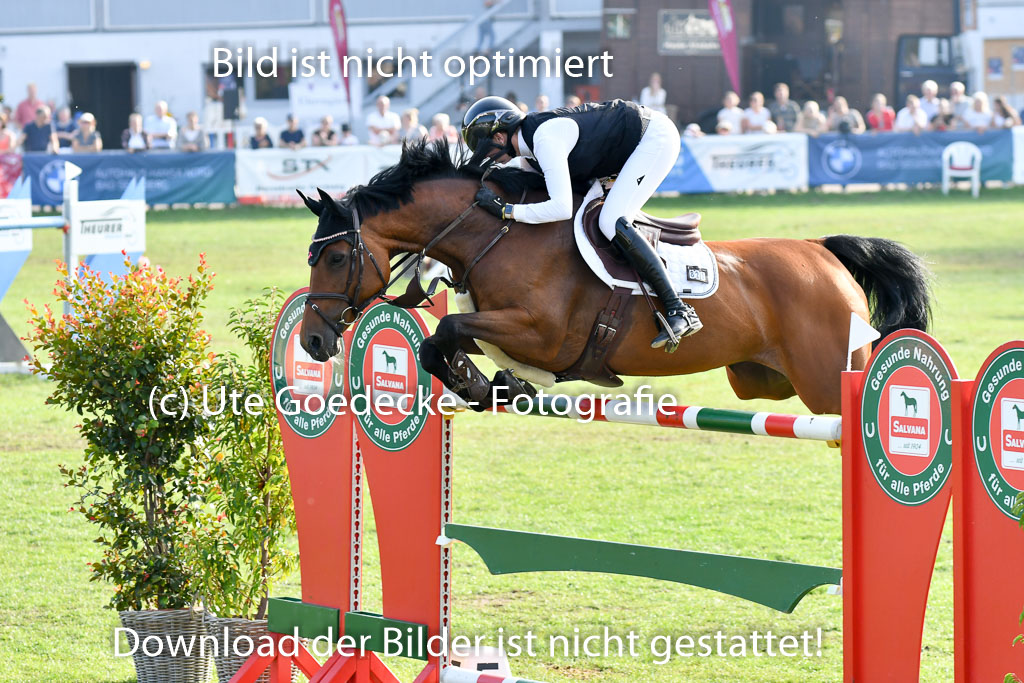 Landesturnier Bad Segeberg  2023 | Boer, Paula de - My Miss Marpel_05 