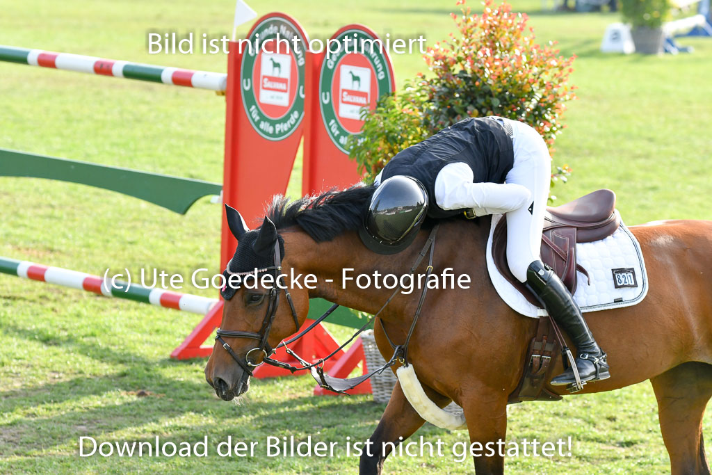 Landesturnier Bad Segeberg 2023 | Boer, Paula de - My Miss Marpel_11