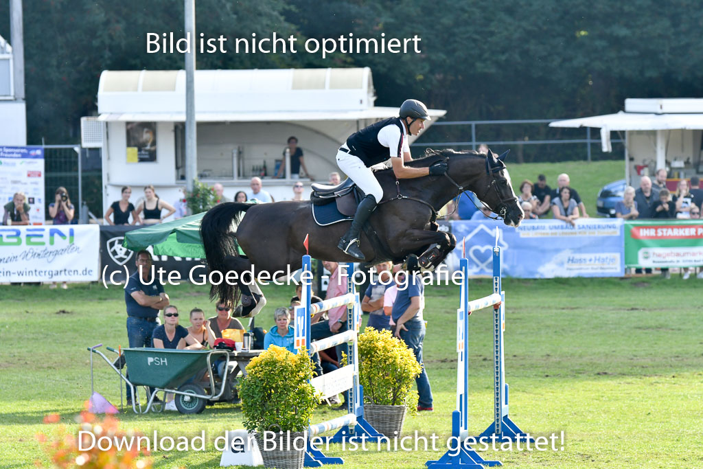 Landesturnier Bad Segeberg 2023 | Meves , Jan - Dynastie D_7