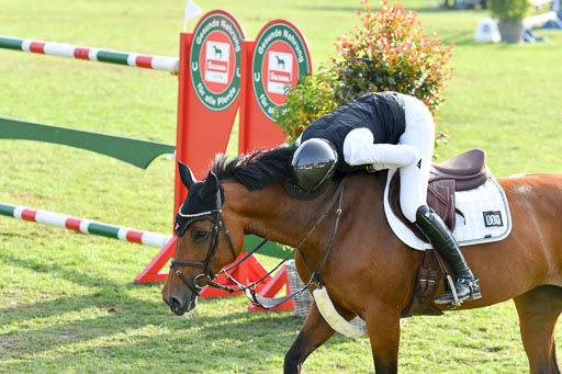 Landesturnier Bad Segeberg  2023 | Boer, Paula de - My Miss Marpel_11 