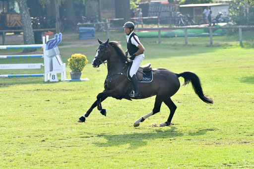 Landesturnier Bad Segeberg  2023 | Meves , Jan - Dynastie D_2 