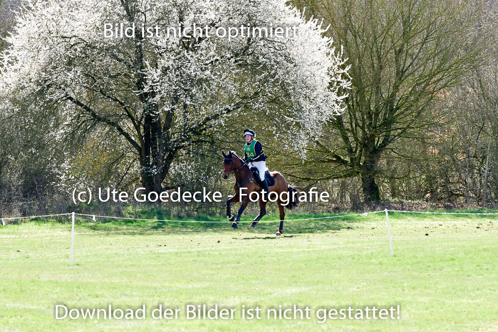 Bad Segeberg 02.04.2023 | 02042023 XC L _164