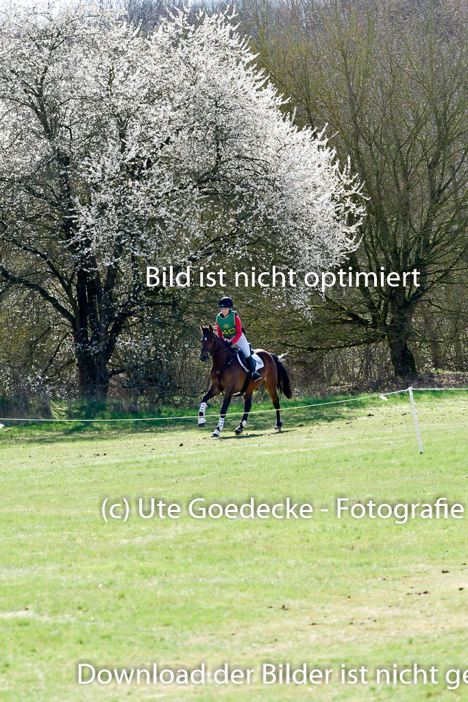 Bad Segeberg 02.04.2023 | 02042023 XC L _274