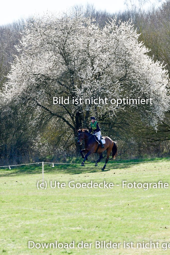 Bad Segeberg 02.04.2023 | 02042023 XC L _570