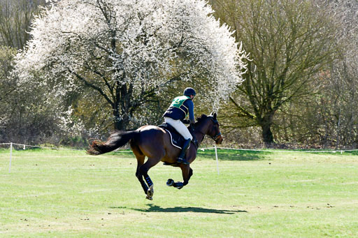 Bad Segeberg  02.04.2023 | 02042023 XC L _309 