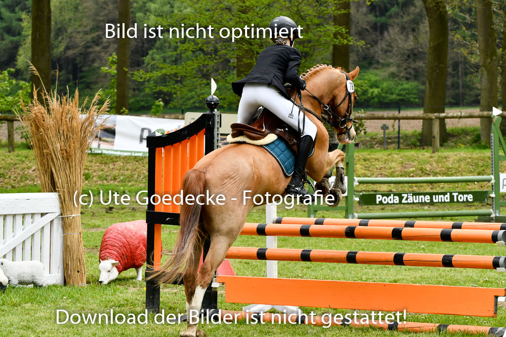 Quali für Goldene Schärpe Ponys in Berge 6+7.5.23 | Amelie Brockhaus - Giovanni_24