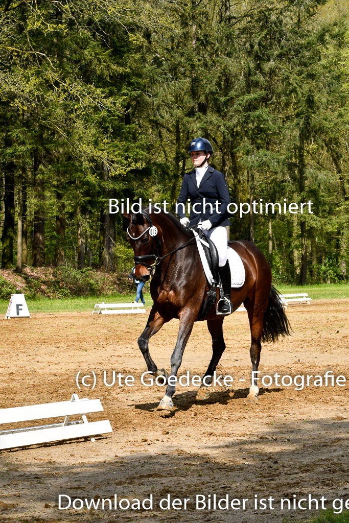 Quali für Goldene Schärpe Ponys in Berge   6+7.5.23 | Amelie Emma Pudednz - Bordeau_12 