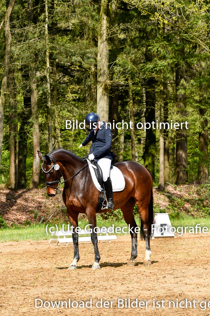Quali für Goldene Schärpe Ponys in Berge   6+7.5.23 | Amelie Emma Pudednz - Bordeau_14 