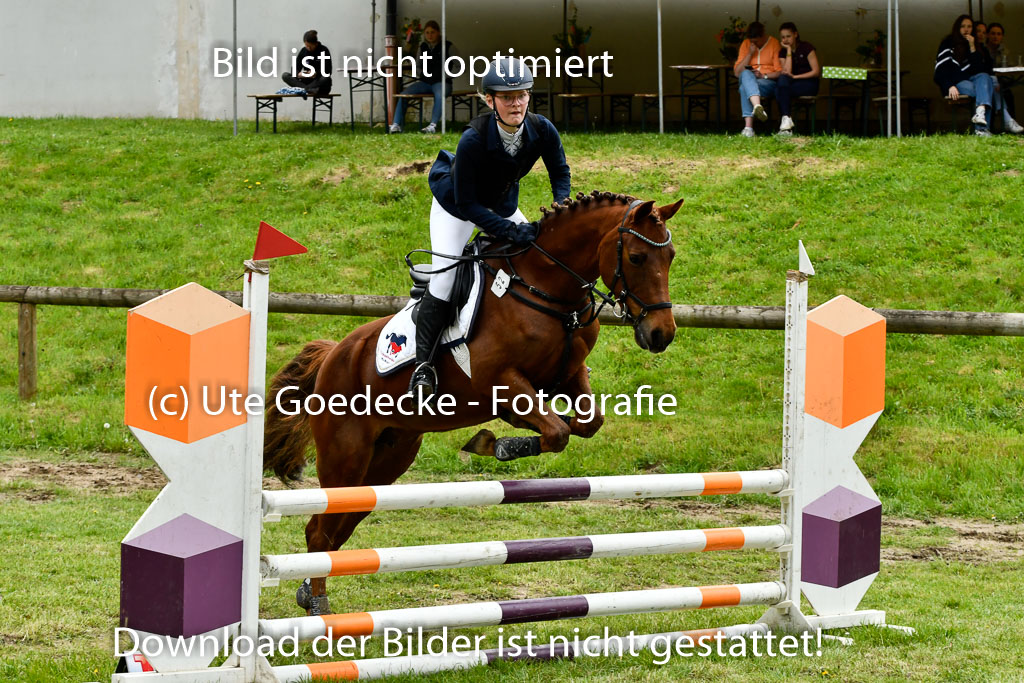 Quali für Goldene Schärpe Ponys in Berge 6+7.5.23 | Anna Hümmeler - Daily Motion_20