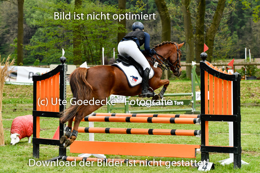 Quali für Goldene Schärpe Ponys in Berge   6+7.5.23 | Anna Hümmeler - Daily Motion_23 