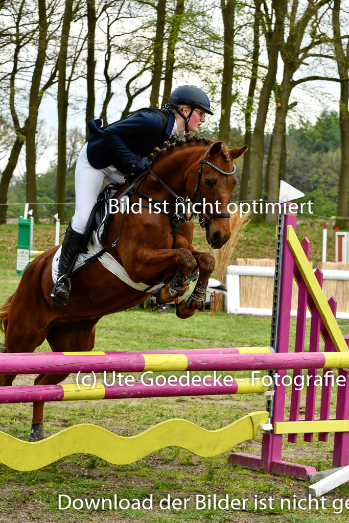 Quali für Goldene Schärpe Ponys in Berge   6+7.5.23 | Anna Hümmeler - Daily Motion_26 