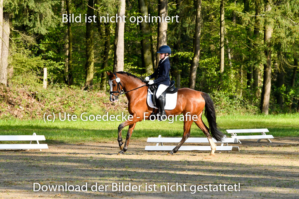 Quali für Goldene Schärpe Ponys in Berge 6+7.5.23 | Anna Kotschofsky - Quatmans Girl_10